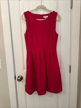 Calvin Klein Hot Pink Sleeveless Pleated Dress